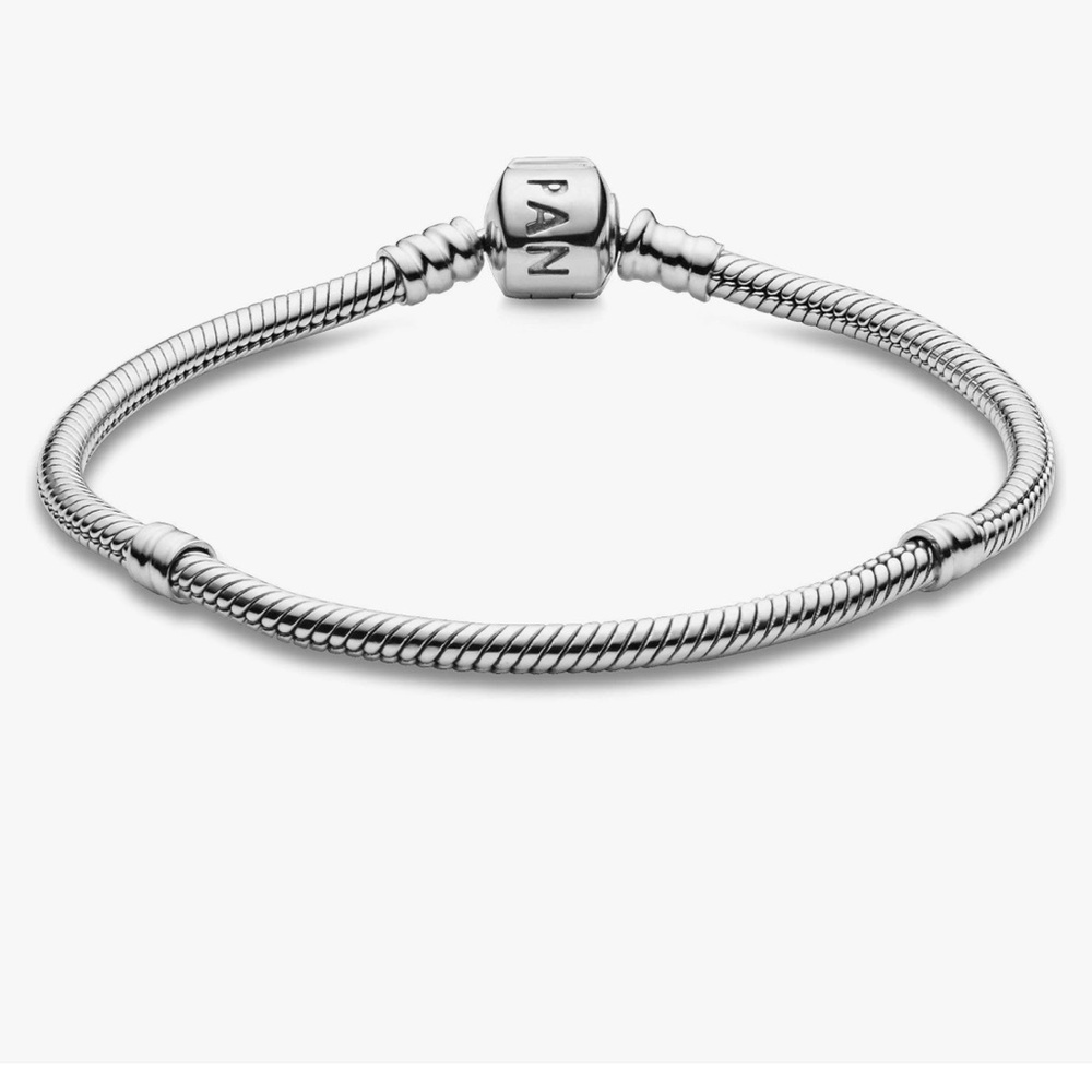 🎁 Sterling Silver 925 PANDORA Charm Bracelet NWOT
🎁 EXCELLENT Gift Idea!!